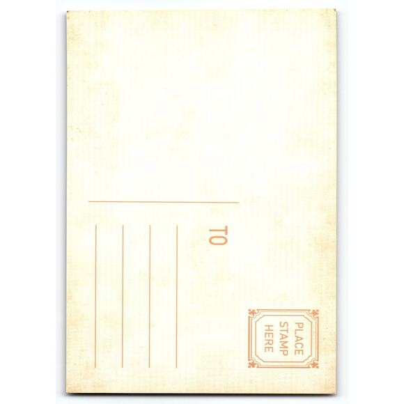 Halloween Witch with Black Cat Vintage Style Postcard 5.5x4" - Picture 2 of 2